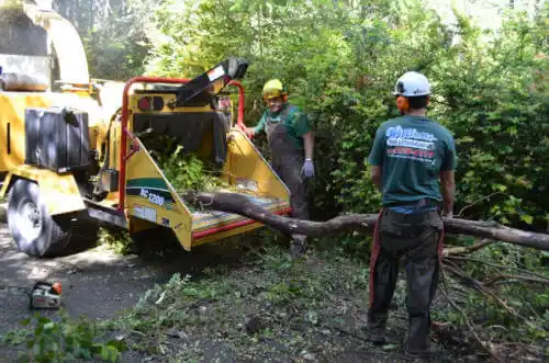 tree services Naknek